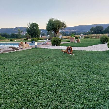 نارني Agriturismo Tenuta Filippi المظهر الخارجي الصورة