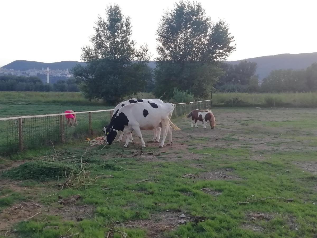 نارني Agriturismo Tenuta Filippi المظهر الخارجي الصورة