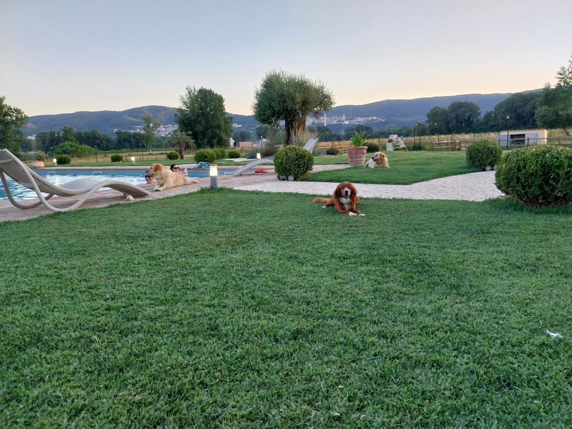 نارني Agriturismo Tenuta Filippi المظهر الخارجي الصورة