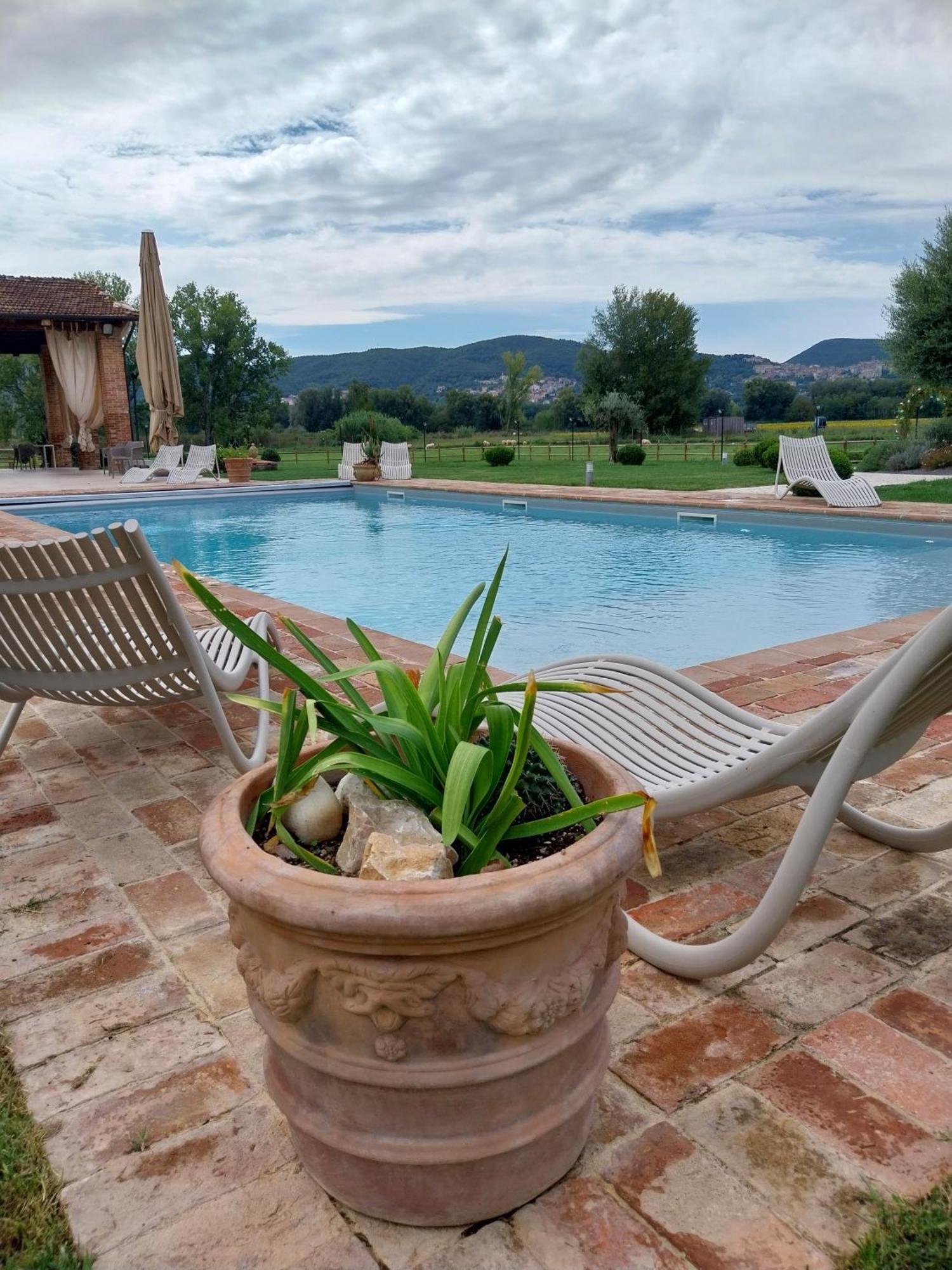 نارني Agriturismo Tenuta Filippi المظهر الخارجي الصورة